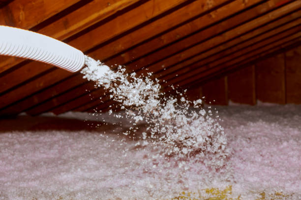 Best Insulation Materials and Products in Despard, WV