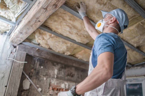 Best Insulation for Specific Applications in Despard, WV