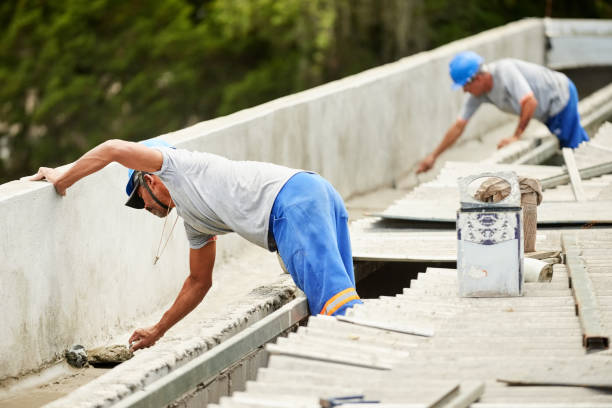 Best Insulation Installation Services in Despard, WV