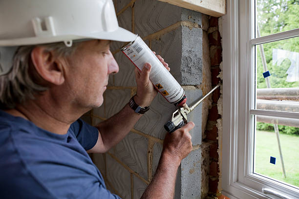 Best Residential Insulation in Despard, WV