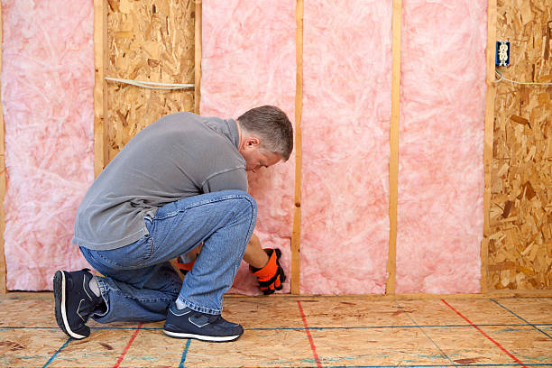 Best Insulation for Specific Applications in Despard, WV